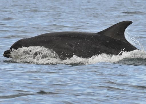 General photo of Ooti