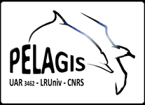Image of PELAGIS .