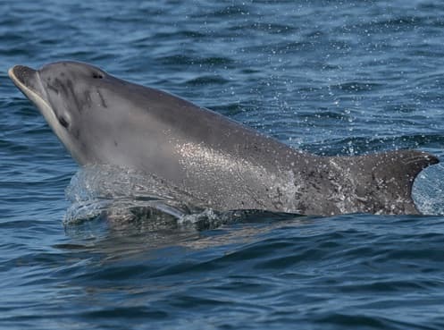 General photo of Ecy