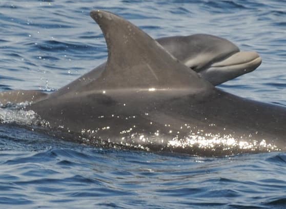 General photo of Jura