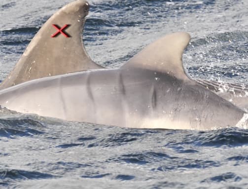 General photo of Ceylin