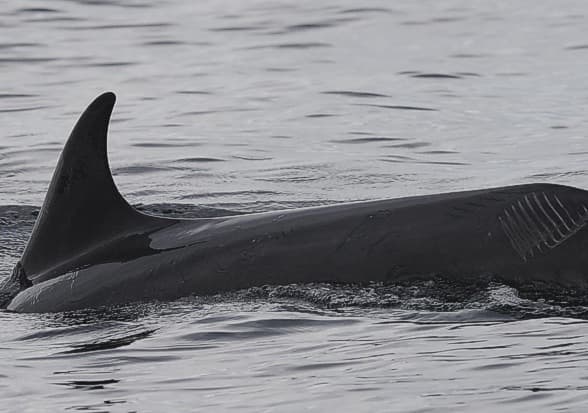 General photo of Reg