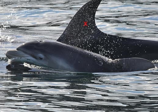 General photo of null