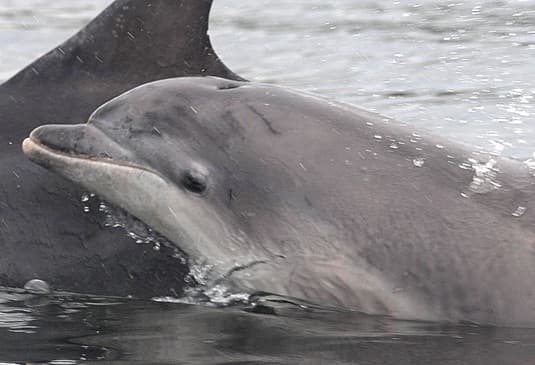 General photo of Ecy