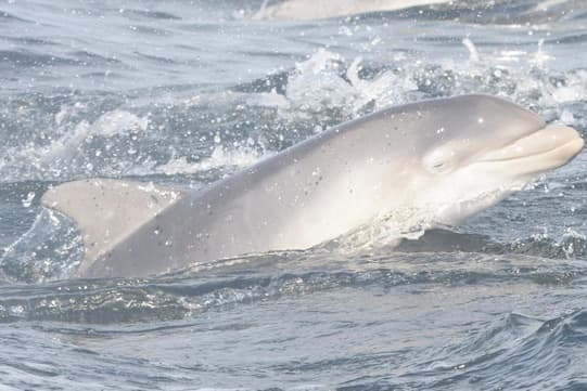 General photo of Banta