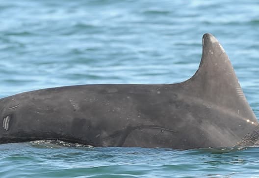 General photo of Six Nix