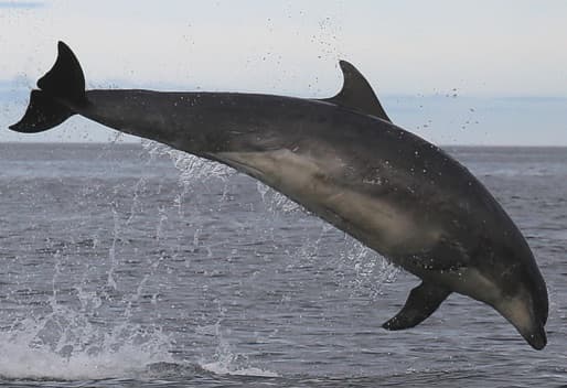 General photo of Ooti